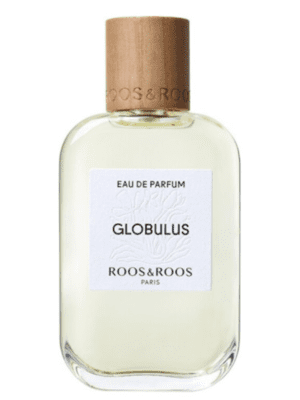 Globulus 100ml – Roos and Roos - Vagabond Parfumeur